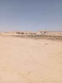 الشيخ حديد • ٢٠٠٠م • مسيجه بي ار سي