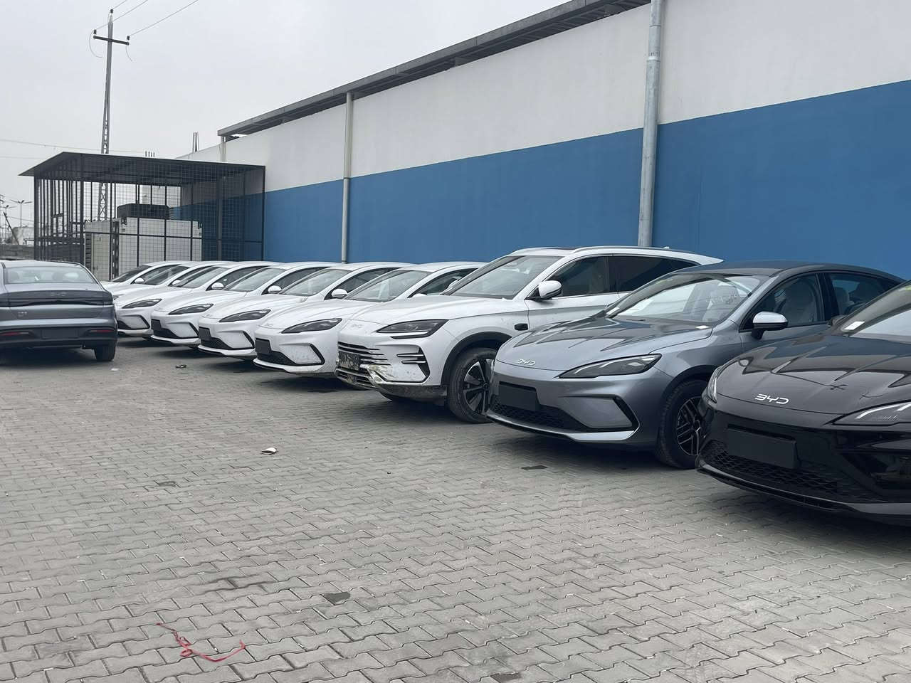 #معرض #حجي #خالد  #لتجارة #السيارات
وصول وجبة جديده من BYD 2025 جميع الالوان متوفرة اسود 🖤وابيض🤍 ورصاصي 🩶
 
السعر: انسب الاسعار اتصل على الارقام التاليه
***********
***********

‏qin plus      - - -   destroer - -seal05 - -song L
   
    1: سيل 05 seal✴️ لون ابيض 🤍واسود🖤

2: كن بلاس qin plus. لون ابيض

‏3: ✴️ Destroer  05. دستروير  ابيض
4: دستروير اسود 
5: دستروير رصاصي 
                                                     6: song L سونك ال 
 7: سونك بلاس لون اسمنتي 

للطلب والاستفسار والحجز الاتصال على الارقام التالية
***********
***********
ادارة المبيعات

☎️📞📲☎️📞📲

بغداد  

شكراً لتواصلكم معنا
 #سيارات  #BYD
#سيل5 #سيل05
#كن_بلاس 
#دستروير
#سونك
