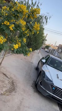 سوناتا • ٢٠٢٠ • محرك ٢٥٠٠