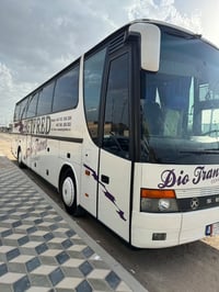 فينيه • قايش واحد • مرسيدس