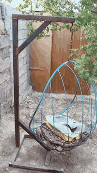 سعر 100 زعفرانية ***********
