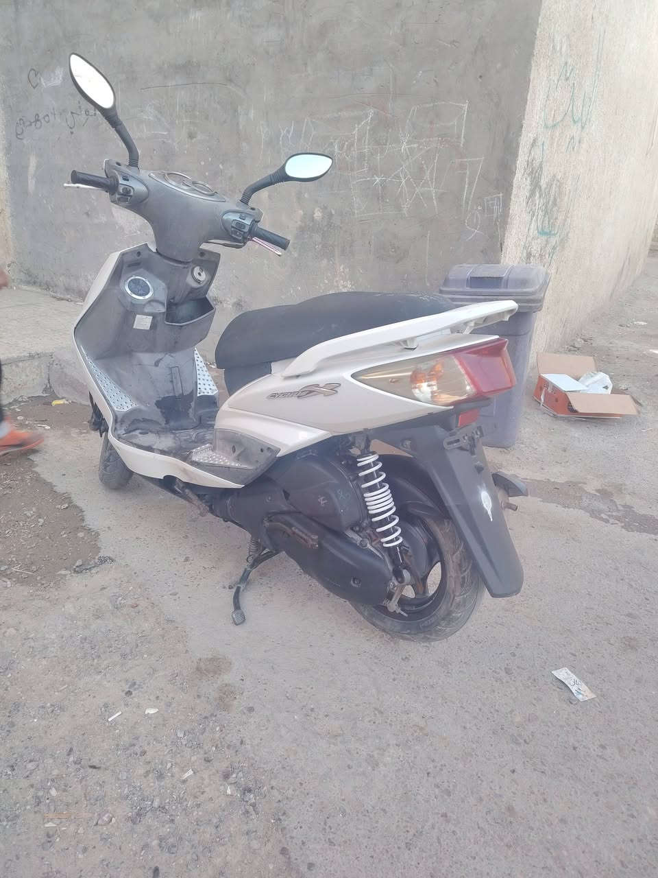 سلام عليكم سكنس فحل للبيع قبل فترا اخذتها رمبه ختم واحد كفر ومكينة مكان بغداد  ***********
