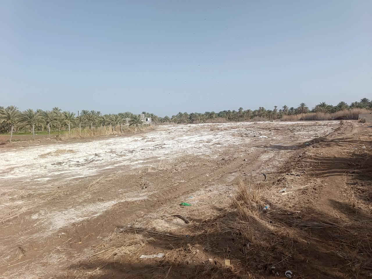 أرض طابو زراعي ٤دونم و١٠٠٠متر سند مداور  حيره نزله المراشدة قرب السيطرة مسيجه للبيع الدونم ٣٥ تصلح سكن أو زراعة بيها شارع على طولها تباع كلها أو على شكل دوانم  للاستفسار مكتب الجنابي ***********
