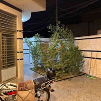 كربلاء البوبيات • ٢٠٠م • سند ٢٥