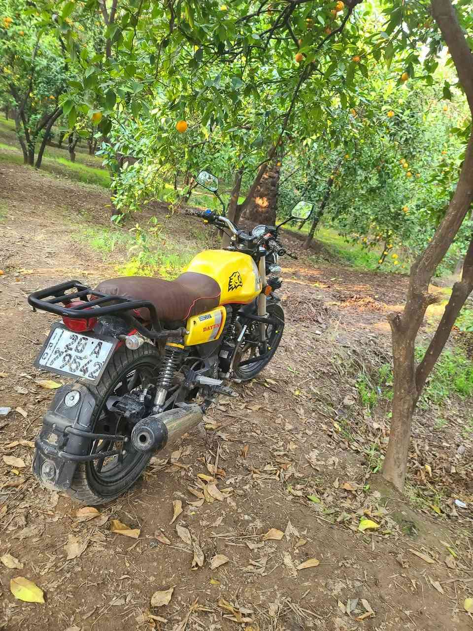 دايوان لايتي مو ديل 2022 الدراجه مناقصه برغي مكفوله كفاله عامه تشغل وتمشي مرقمه ارقام انكليزي تحويل ثاني يوم سنويه 2027 دراجه رزانه و سرعه  خير من الله المحرك اخرس مابيهه صوتت
الدراجه دهن وبانزين ومشي مناقصهه شيي لايت زينون لايت بومه هديه وياهه 
مكان الدراجه بعقوبه تقاطع القدس 
سعر اتصل وبيك خير وتدلل
***********
