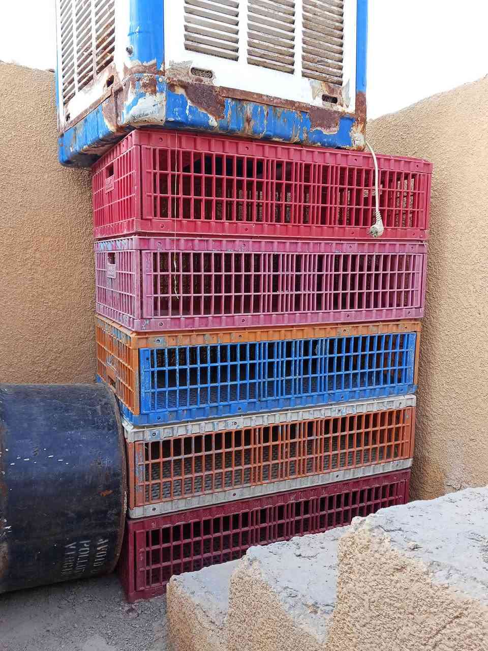 سلام عليكم غراض محل دجاج هلسه مع مولده حجم 2 ونص مع صناديق 15  العنوان بغداد  الزعفرانيه ***********
