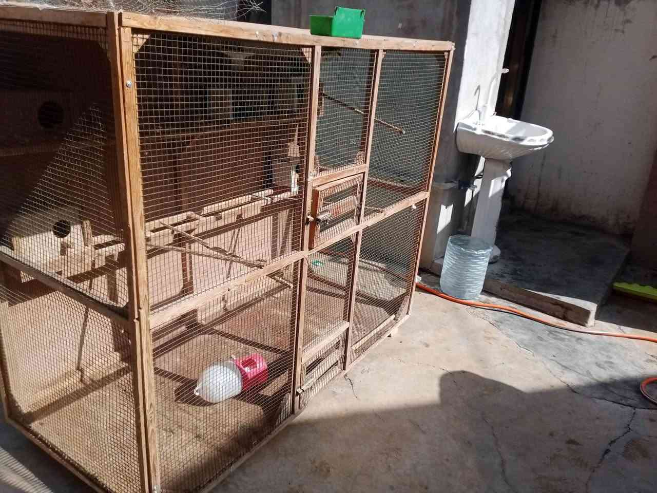 سلام عليكم قفص اطيور حب للبيع السعر 40وا بي مجال للشراي راسلني على الخاص


**إذا كنت صاحب هذا الإعلان وتريد حذفه لأي سبب، رجاءا أرسل رسالة إلى الدعم الفني**