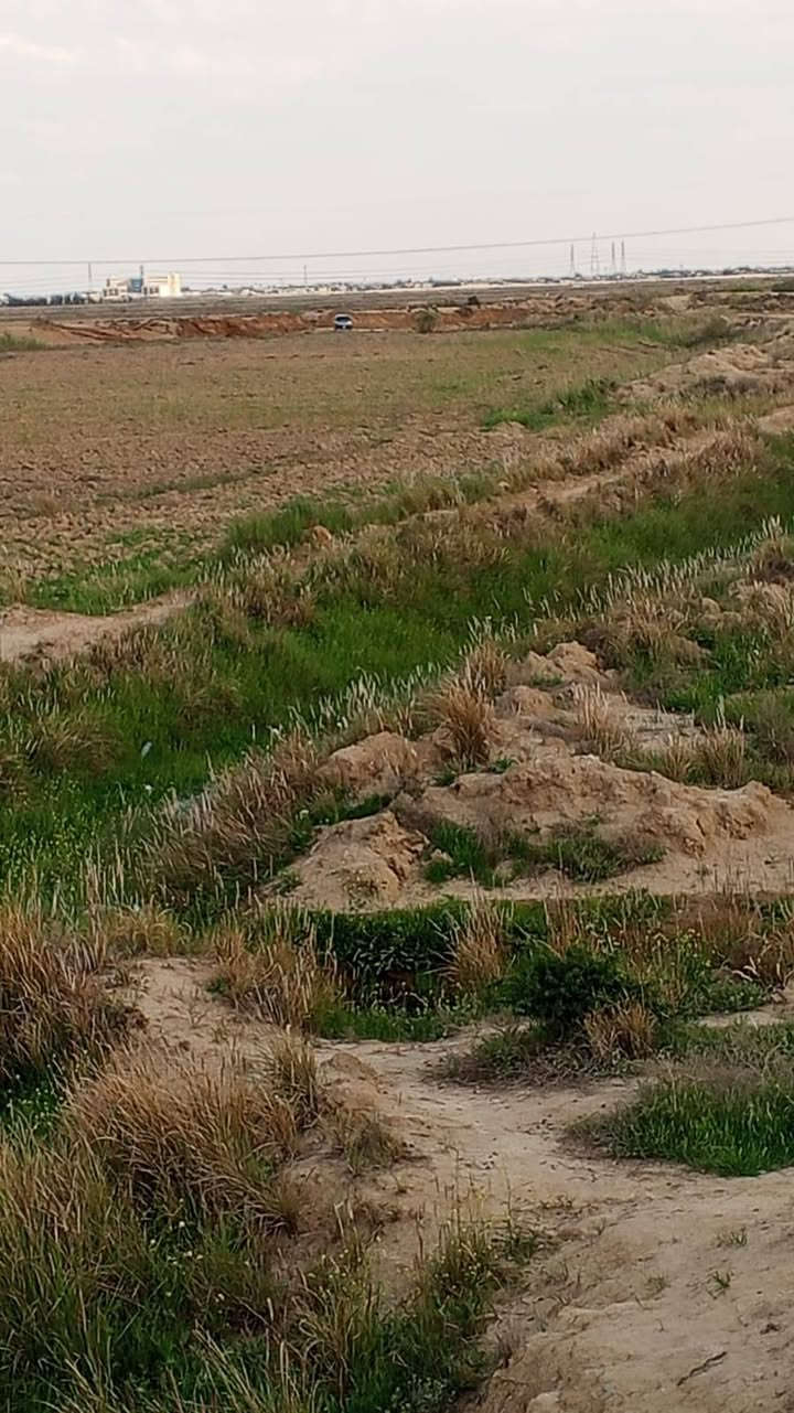 السلام عليكم قطعه ارض للبيع مساحه ١٠ دونم موقعه بغداد منطقه الحميديه سعر الدونم ٦٥مليون رقم الهاتف للتواصل ***********
