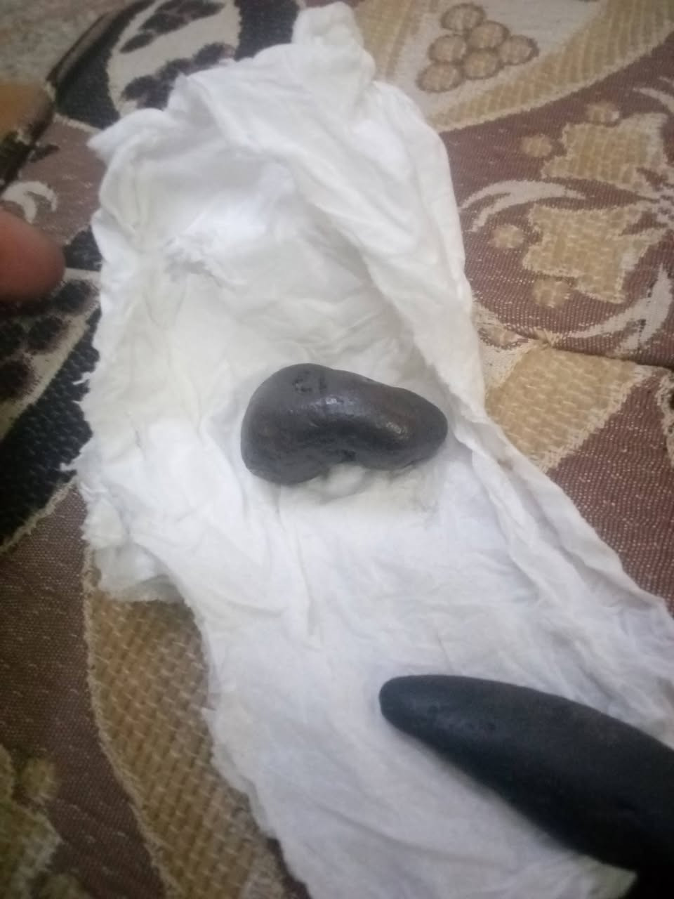 حجر هبهاب شرط الفحص توصيل موجود السعر خاص


**إذا كنت صاحب هذا الإعلان وتريد حذفه لأي سبب، رجاءا أرسل رسالة إلى الدعم الفني**