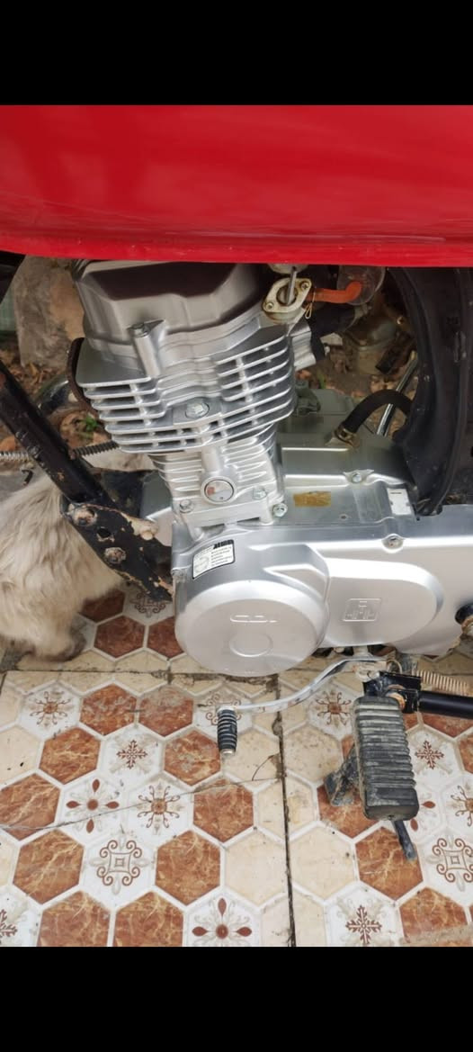 السلام عليكم دراجه وكيله العارضي بس أوراقه تالفه محرك صارله شهر شادينه نوعيه ممتازه   لسعر ٥٠٠ مجال بصيط نجف كوفه علوه الفحل مكفوله من السرقه اشتريت سياره وبعد مامحتاجه امانه الله صار اسبوع تاركه ***********
