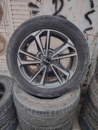 ويل كب حجم 16  شرط من الفطر العواجج تواير بي نص عمر  الرقم. 0783229085...