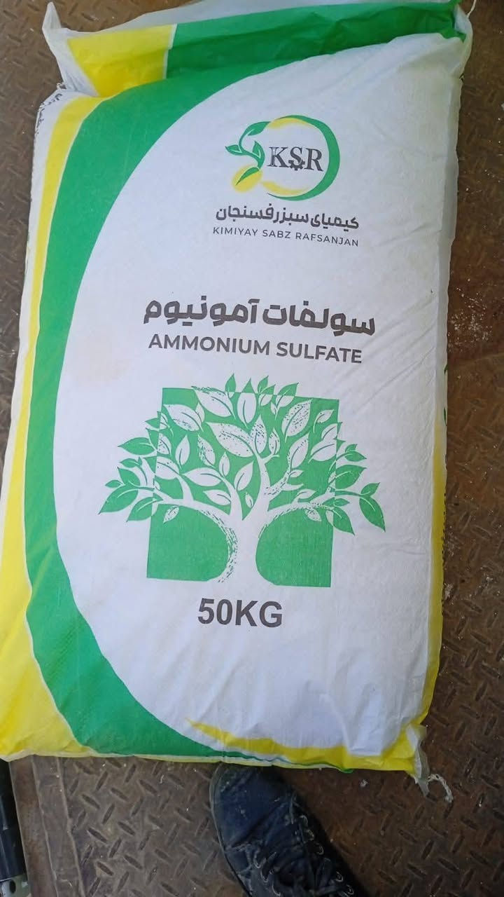 السلام عليكم ورحمة الله وبركاته
يعلن مكتب 🏤 علي العيساوي

عن استيراد سماد

سلفات إيراني خشن

أبيض محبب درجه اولى خالي من الطوز

مشابه إلى الكرمنشاه

بأسعار انخفاضيه ومناسبه جدآ

جمله ## مفرد

العنوان بابل الكفل مقابل كراج بني مسلم

***********
*********** كرارالعيساوي
