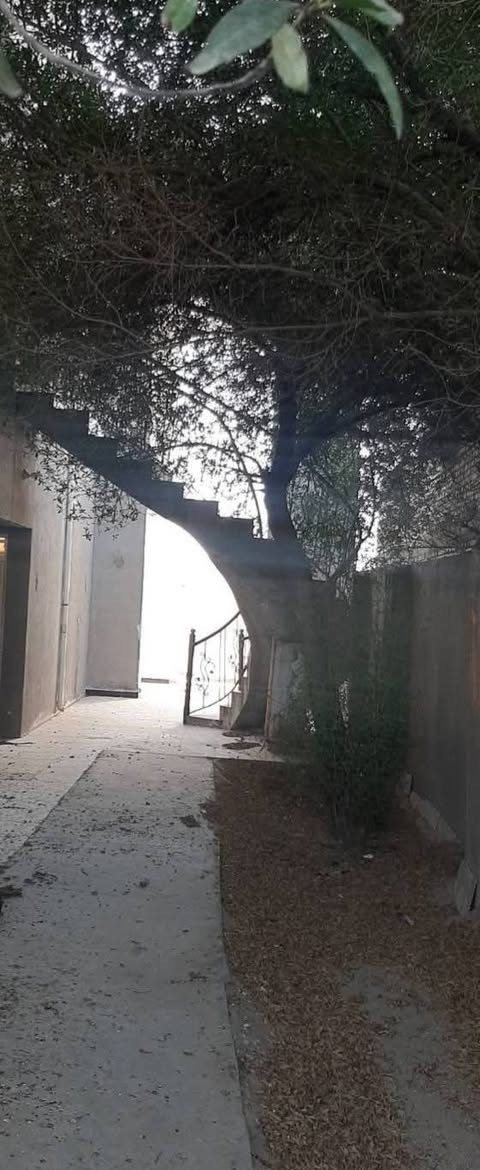 عقار للبيع ملك صرف المساحة 375م ثلاث طوابق وغرفة حارس و 8 غرف + صالة + غرفة ضيوف + 6 حمامات وحديقة جانبية كبيرة ودرج خارجي مفصول
التواصل على هذا الرقم ***********
