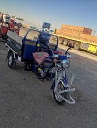 ستوته • مديل ٢٢ • اوراق كامله