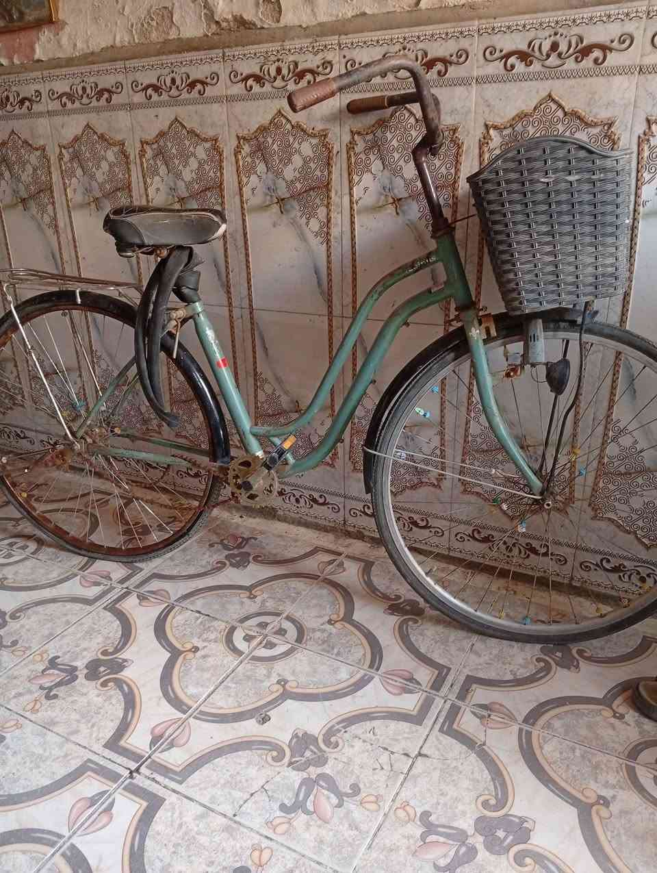 العنوان بغداد الحسينية الراشدية بغداد, العراق


**إذا كنت صاحب هذا الإعلان وتريد حذفه لأي سبب، رجاءا أرسل رسالة إلى الدعم الفني**