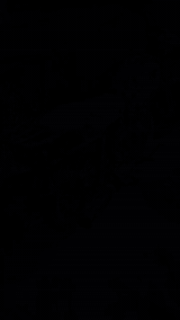 سلام عليكم دراجه اربعه كير ارشه 7اوراق للبيع ***********
