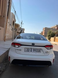 كورلا هايبرد • ٢٠٢٤ • رقم اربيل