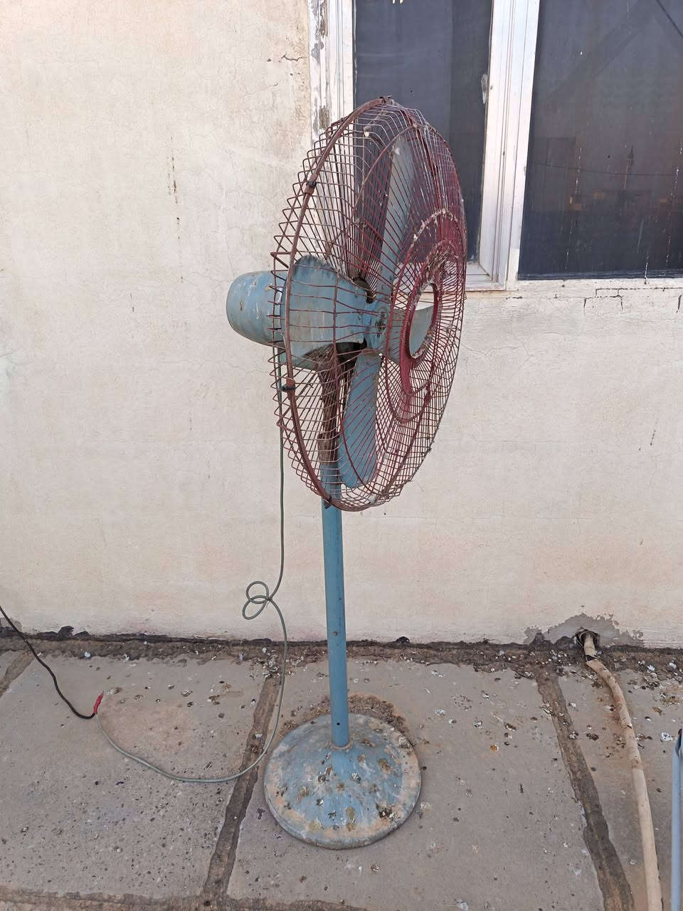 متاح مال دواجن فافون أصلي  ٣ سرعات
٢٥ الف


**إذا كنت صاحب هذا الإعلان وتريد حذفه لأي سبب، رجاءا أرسل رسالة إلى الدعم الفني**