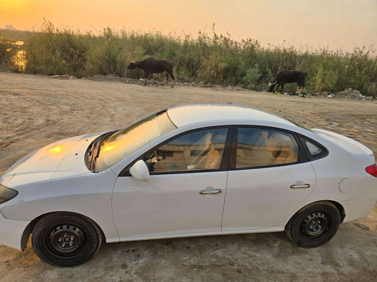 السلام عليكم النترا خليجي مديل 11 مكفوله كفاله عامه عدا بارد كد شبر بلباب الايسر محرك 2000 كشن مخمل اربع دسكات رقم ادهوك بأسمنه العنوان كربلاء السعر ١٢٠ وبيها مجال للإستفسار ***********
