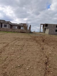 ٣ قطع • ١٣٠م • سند زراعي