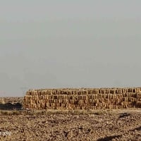 ١٠٠  كبسه تبن للبيع التواصل خاص او على الرقم ٠٧٧١٢٥٤٣٠٩٧