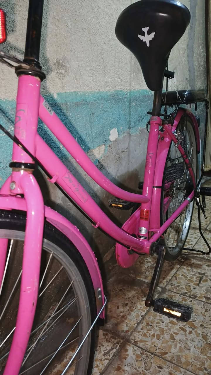 سلام عليكم بايسكل للبيع السعر 120وبي مجال النجف جديده الثالثه التواصل واتساب ***********
