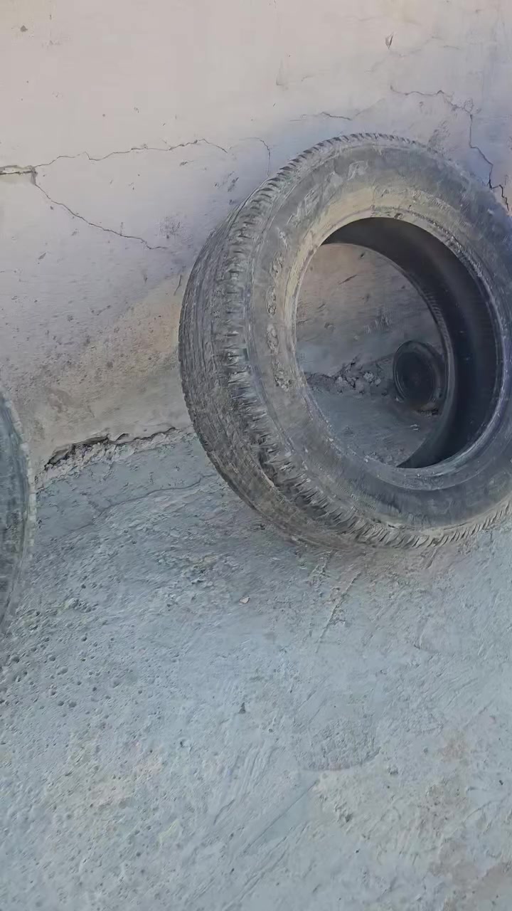 من رخصة الادمن الي محتاج تايرات ٢٠يسوي سبير يخليهن بسيارة تمشية حال


**إذا كنت صاحب هذا الإعلان وتريد حذفه لأي سبب، رجاءا أرسل رسالة إلى الدعم الفني**