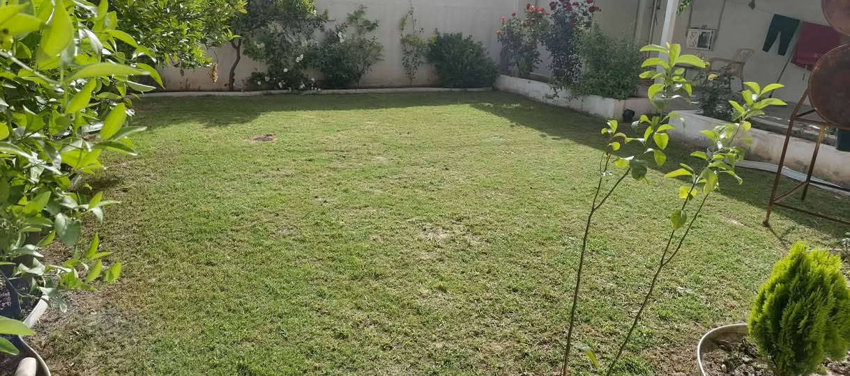من رخصت الادمن
مستعدون لقص الادغال والثيل وتقليم الاشجار في المنازل باسعار مناسبة  بسعر مناسب  للتواصل خاص جميع احياء الموصل

وتساب ***********
