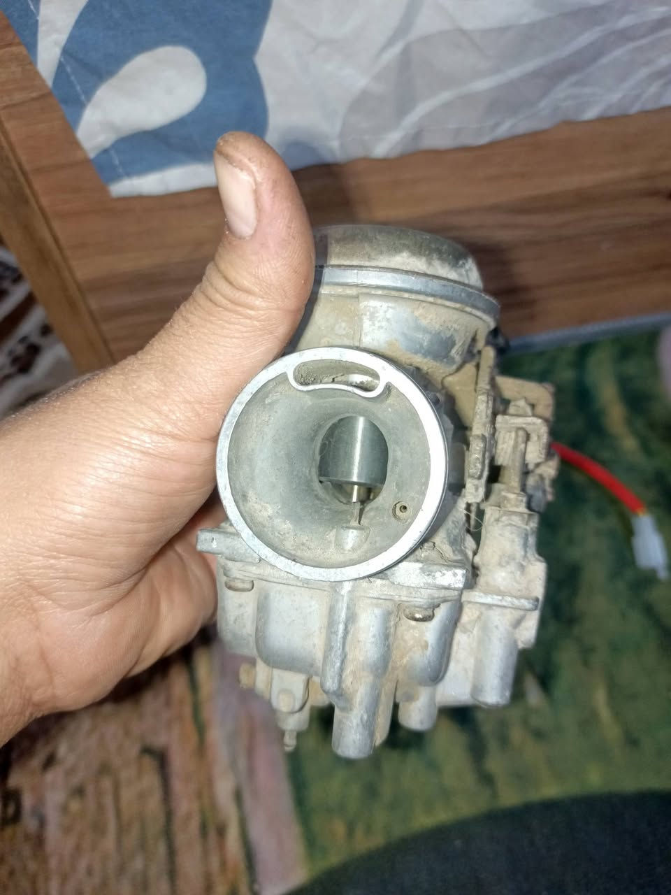 السلام عليكم كابريترات ٢ مال سكنس فحل وحده مال فراشه يرادلهن تنظيف قيم وأخذ مكاني  العبيدي ***********
