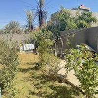 زوير الغربي • ٣٠٢م • حديقة ١٠٠م