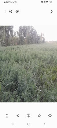 يوجد نص دونم جت للضمان طريق الفردوس ٠٧٨٢٦٢٦٢٧٨١
