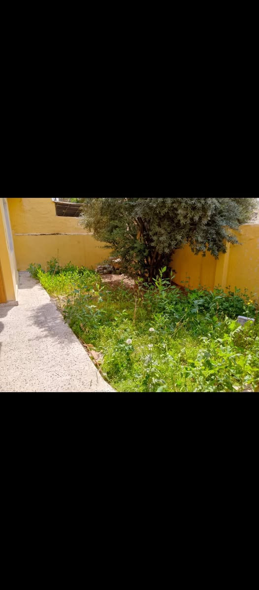 تعمل 🌹ديكورت حدائق 🌹منزليه 🌹وخارجيه بيداره أبو شجاع ***********/-/***********اليحب يتوصل وتساب 🌹
