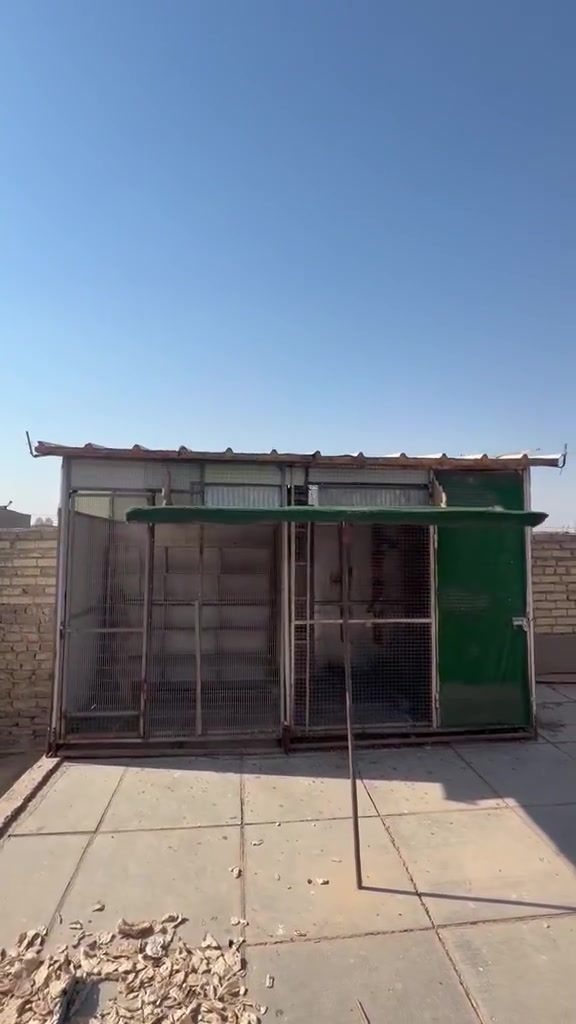للبيع برج مال الطيور يتفصخ قطع يصير واحد ويصير ثنين قياسه
العرض/370
نزال ../140
الارتفاع/210
واتساب فقط     ***********
السعر.   350
مكان الامين
