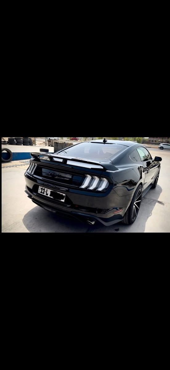 موستنك ٢٠٢٣ ايكو فول دجتل بدون اي نقص او خلل ماشيه ٢٦ حادث بس بنيد مبدل نفس اللون من امريكا جتي بيه الجاملغ الخلفي جهة السايق كلير فقط بدون حادث مسبق 
بيع او مراوس ب سكات 
***********
