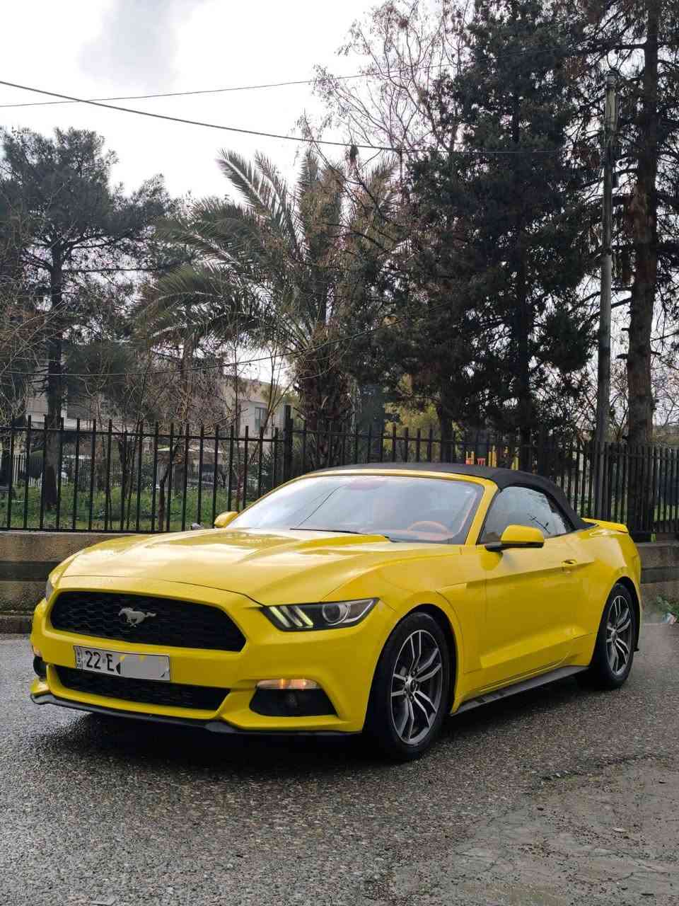 کــــــوردی 
تەنها فرۆشتن بە نقد 
Mustang amreki 
مۆستانگ 
مـــۆدێل / 2016
مواسفات /  شاشە ، کامیرە 
مەکینە / v.4 چوار پستۆن  
مەکینەی کرایتەوە 
 بێ ئێڕباگ ، بێ ناوگرتن 
بێ سبوغ  ٣ جێ تەعدیل 
( ٢٨٣) هەزار  کم چووە
سەنەوی نوێیە 

نـــــــرخ  (( ١٣٧٠٠$  )) 

ناونیشان هەولێر
 پەیوەندی واتساپ  ***********

عربي 
فقط بیع نقد 

Mustang amreki 
 موستانک امریکی
مــــــــودیل/2016
مواصفات/ كاميرة ، حساس ، 
محرك /  v.4 اربع سلندر
محرك مفتوح 
بدون ایرباك ، بدون دواخل
بدون صبغ  ٣ مكان تعديل 
١٨٣٠٠ كم ماشي 
سنوية جديدة  

سعر   (( 13700 $  )) 
عنوان اربیل ، للاستفسار 
*********** أربيل, العراق
