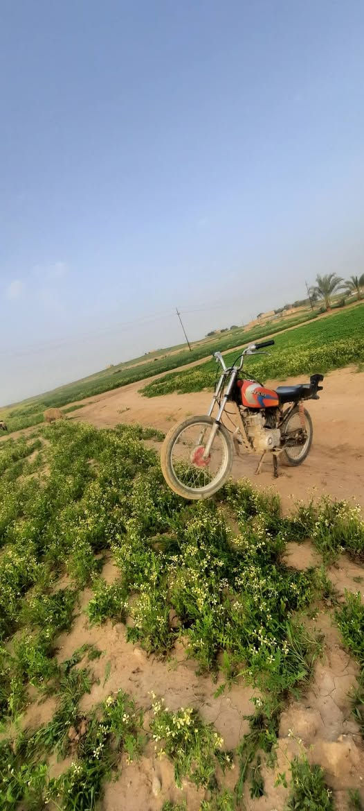 سلام عليكم نامه ال بيع محرك مفتوح نشاط تاكل الكاع موديل 2020 السعر ٣٥٠ وبي مجال 
@***********
