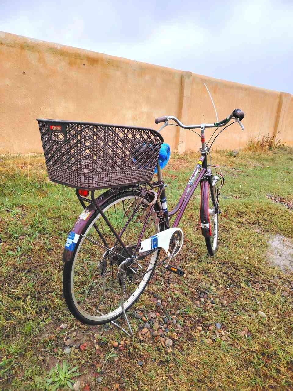 إسلام عليكم
بايسكل للبيع
تبديلات-حساس
السعر ٨٠ وبي مجال 
الرقم ***********
