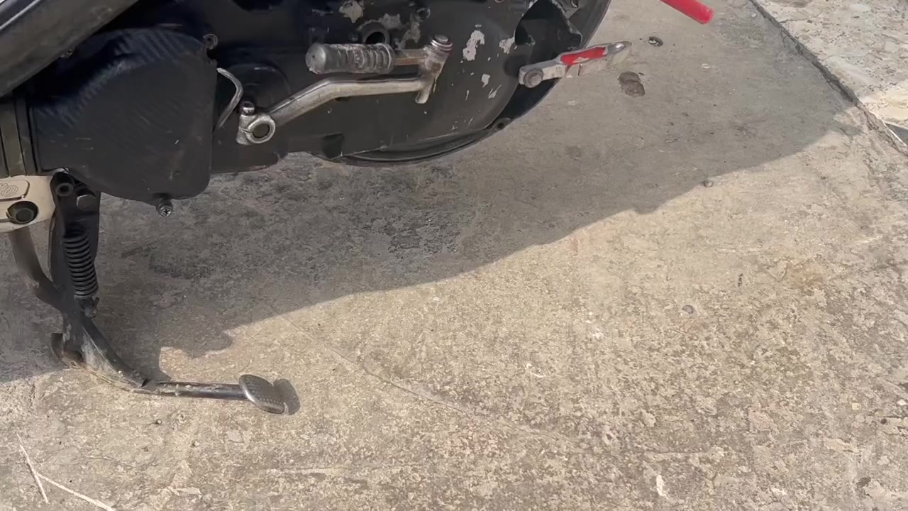 طابوكه ولفين كبار ٦١ مان بغداد ما متواجد خاص تصال فقط ***********
