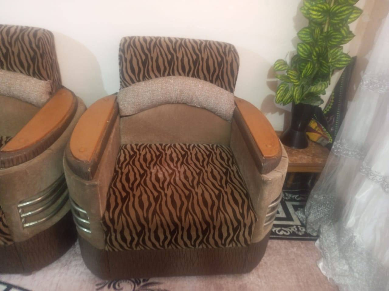 السلام عليكم تخم تركي تزكام نظيف عشر نفرات سعره 250وبي مجال بسيط


**إذا كنت صاحب هذا الإعلان وتريد حذفه لأي سبب، رجاءا أرسل رسالة إلى الدعم الفني**