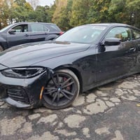 وبركاته #ملاحظة يوم السبت والاحد عطلة المزاد الرسمية 🟢 تاريخ المزاد //...