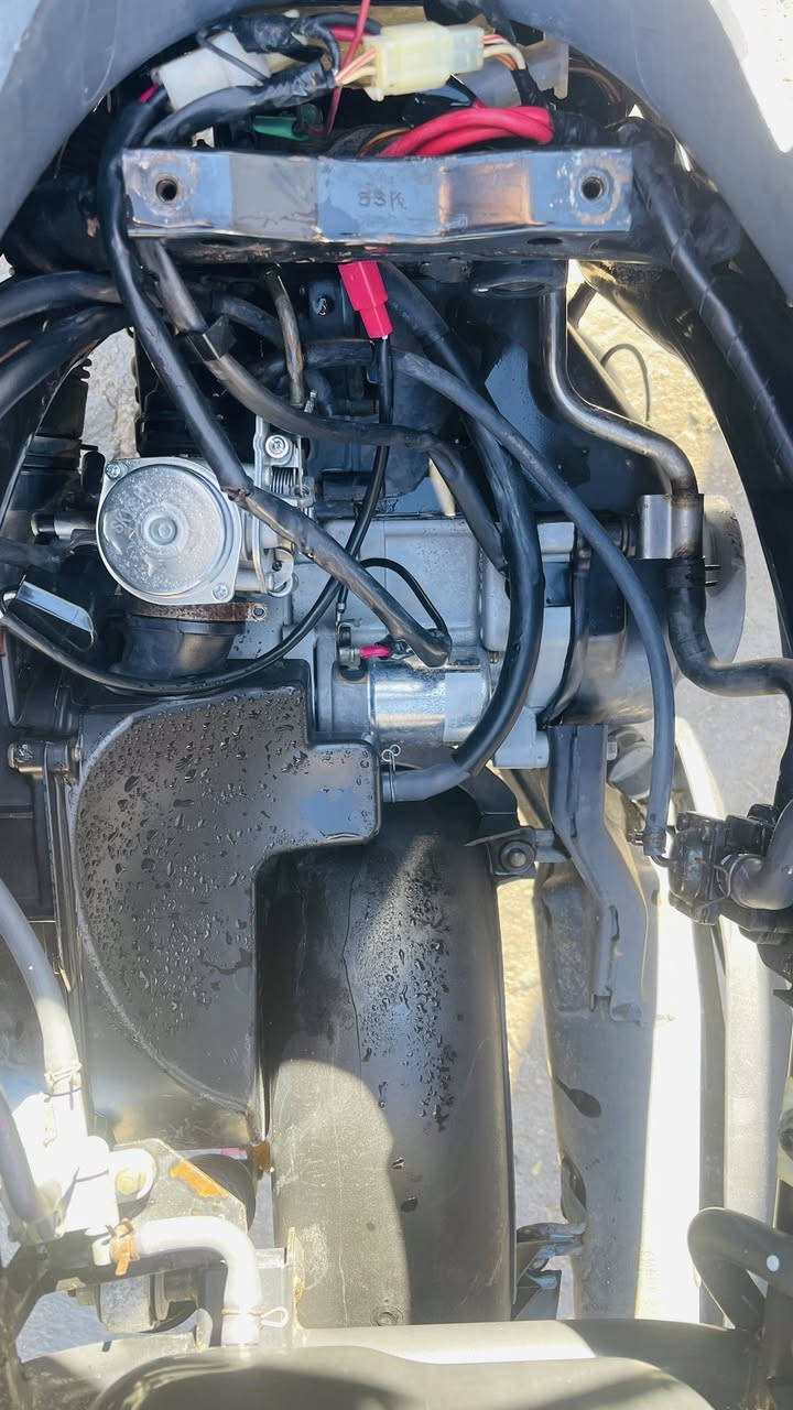 سلام وعليكم ماكس قجمه ما مفتوحه بلادي سعر 875وبيهه مجال حك الجيه مكاني البصره قضاء المدينه رقمي ***********واتساب فقط
