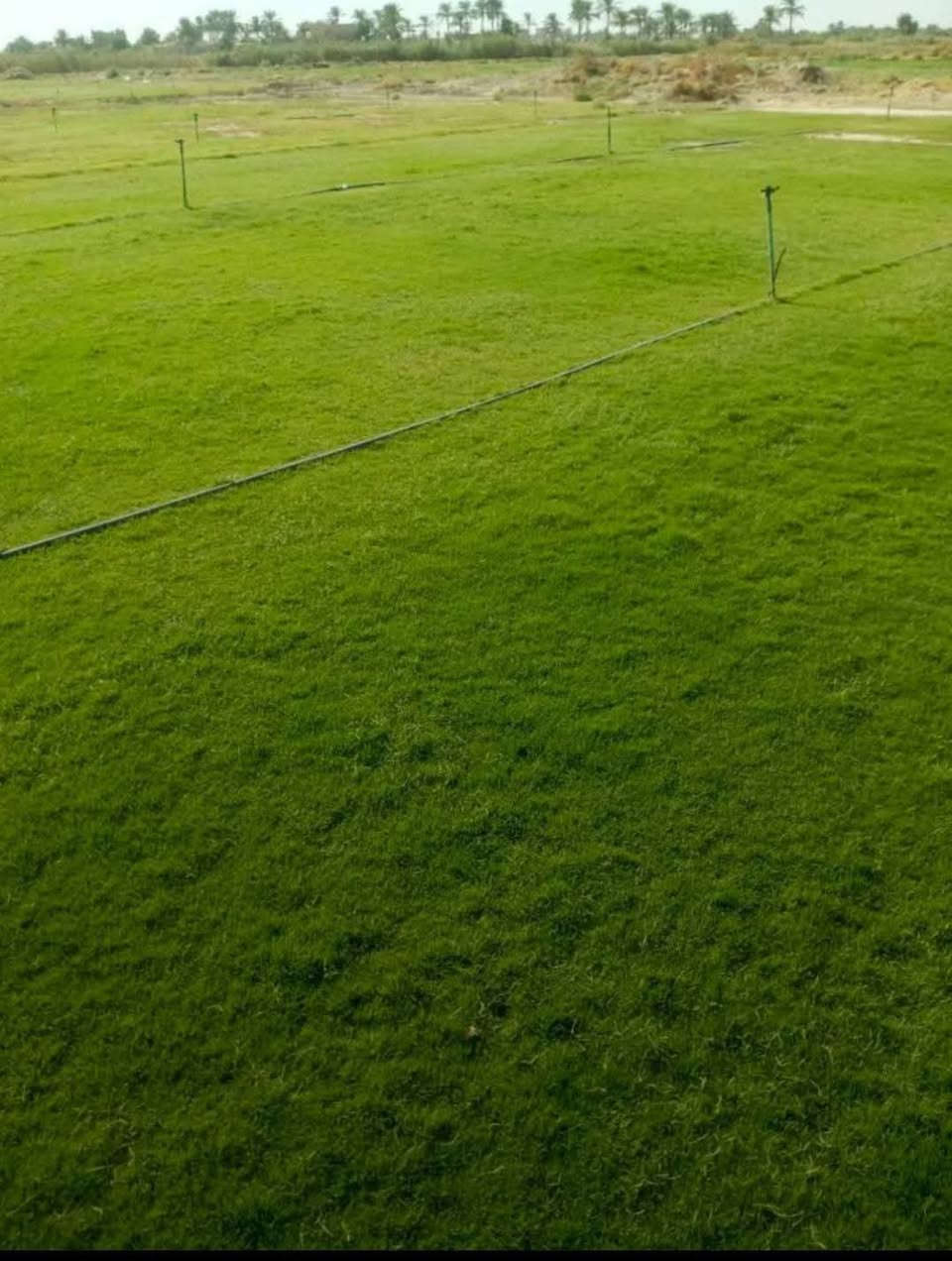 #تخفيضات #تخفيضات (لفترة محدودة) والتوصيل مجاني

☘ثيل طبيعي نوعية ممتازة (هندي درجة اولى)🍀

🌳مناسب للاستخدام في ( المنازل🌳_ الحدائق🌳_ الملاعب🌳_ الدوائر🌿_المشاريع الاستثمارية ) 
 
متوفر لدينا كافة انواع الثيل الطبيعي💚

قدره تجهيز كميات كبيرة للمشاتل والملاعب
#نوعية ممتازة 
#هندي وجميع الانواع الاخرى
وبأسعار تنافسية 
لدينا كادر متخصص في زراعة الثيل بطريقة صحيحة وناجحة يجيك لباب بيتك

للطلب يرجى مراسله الصفحه او الاتصال على ***********
