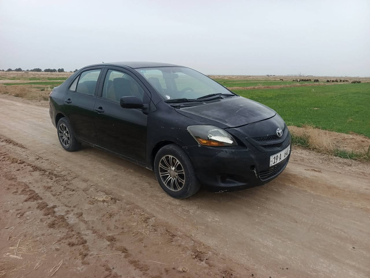 كورله يارس مديل ٢٠٠٧ بيهه ثلاث قطع الماميات صبغ بدون ضربه مكينه وكير عل شرط رقم كربلا  رقم مميز مكان سياره نجف ناحيه القادسيه *********** سعر ٦٦ وبيهه مجال
