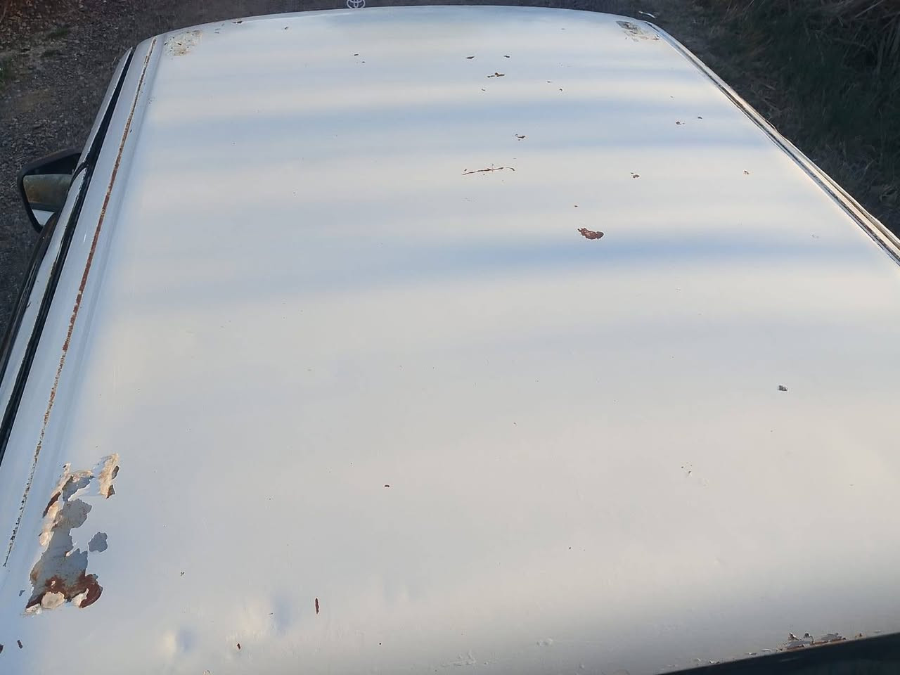 سلام عليكم بيكم موديل 1992رقم بغداد الدولي شاصي رقم شاصي محرك كير اكسن مكفولات السياره مصبوغه حزام الجماليه بدون ضربه تخم تاير كهربائي سيارات شغاله ويل كب قلاف بدي جديد السعر 55 وبيه مجال حك الجيه السياره نضيفه حيل والله السياره مال جناي ***********/
***********
***********
