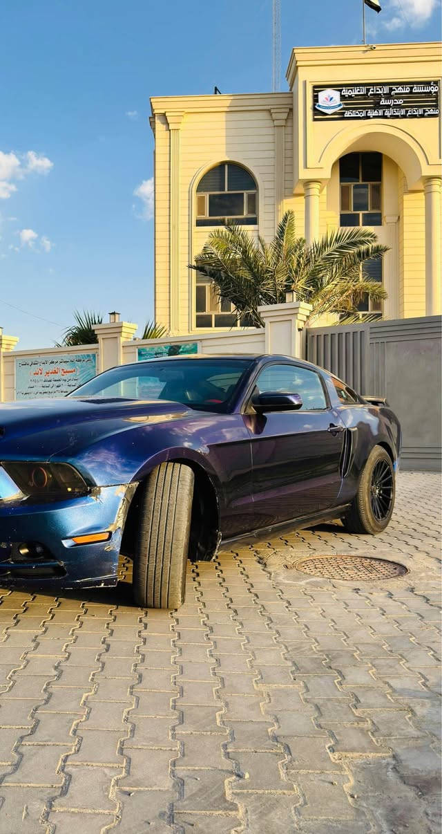 السلام عليكم فورد موستنك 2010 محدث 14 وارد امريكي رقم بصره مشروع وطني كير ومكينه جدد صار 5 ايام من بدلتهم  بعدهم بضمان  تخم تاير تو سايز سياره  دواخل جديده السياره مصبوغه تغير لون مميز السعر جدا مناسب 58ورقه 
العنوان / بصره ياسين خريبط 
تليفون / *********** Singapore
