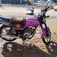 دايون موديل ٢٣ • بنفسجي • أوراق أصلية