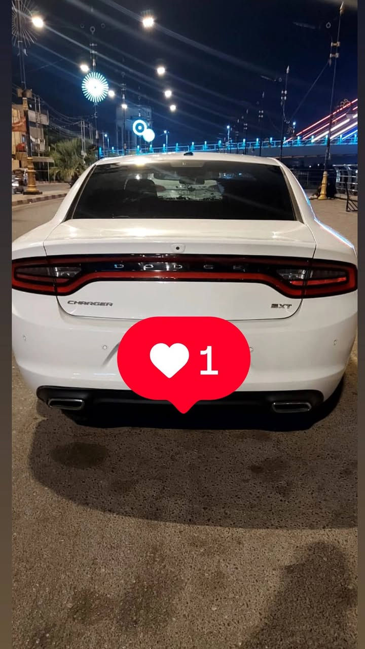 السلام عليكم ورحمة الله وبركاته للبيع جارجر ١٩ وارد كندي كلين بيه بارد قليل جاملغ السايق ماشيه ١٥٠ الف كيلو استخدام شخصي نقصها تبريد وصدر امامي فقط
سنويه وهزه جديده تريد تحويل تريد وكاله
السعر ٢٥٥ ورقه مع مجال بسيط
للاستفسار ***********
