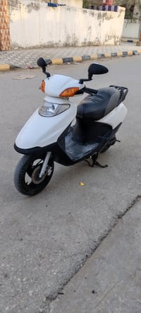 سبيسي ياباني • واسط قضاء الحي