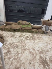 ثيل ايطالي • ١٧م