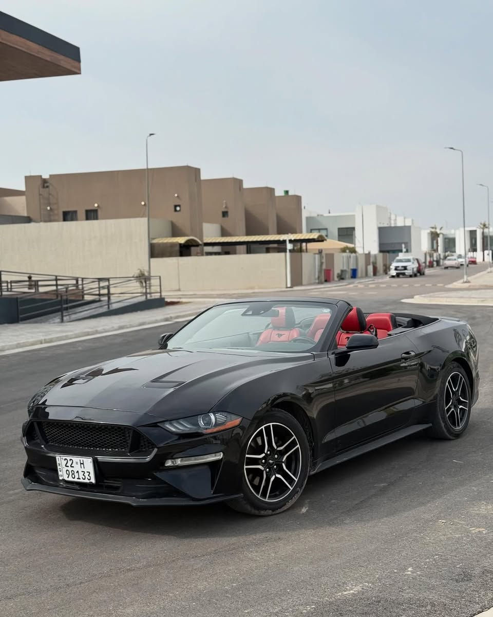 موستنك ٢٠٢٢
ايكو بوست 

بريميوم

٨٨،٠٠٠ كيلو ماشي

دشبول سبع الوان

كشن حار و بارد

شاشه كبير

شغال

بصمه

رادار امامي و جانبي

حساسات و كامره خلفي

ضرر: موضح بالسونار وزاد عليه باب السايق

ايرباك فقط ستيرن و راجع سستم

اكسل كهربائيات مكينه كير كله بشرط

سعر :١٦٥ بيها مجال 

بغداد حي الجامعه  

***********
